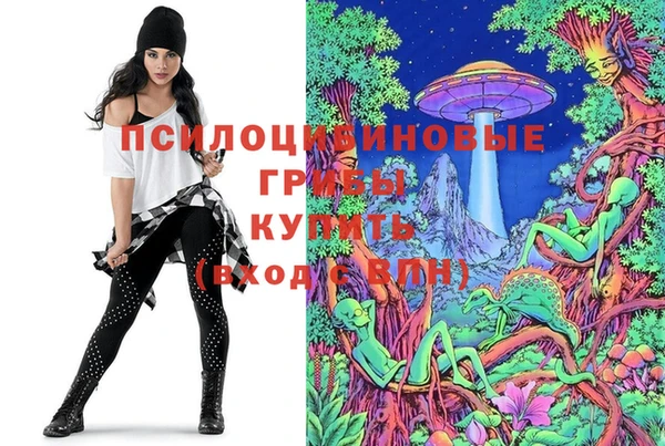 хмурый Богданович