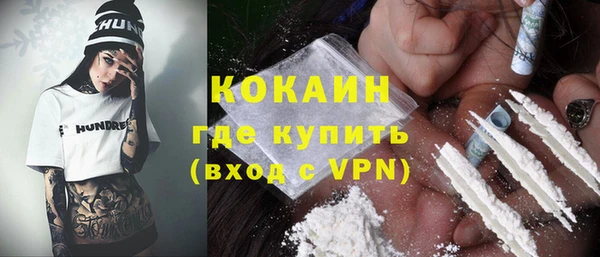 МДПВ Богородск