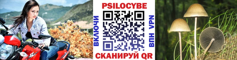 Псилоцибиновые грибы GOLDEN TEACHER  Купить закладки  Арсеньев 